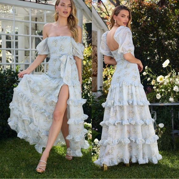 V. Chapman Dresses & Skirts - V. Chapman Elsie Victorian Blue Roses Puff Sleeve Bohemian Maxi Dress Gown 6 NWT